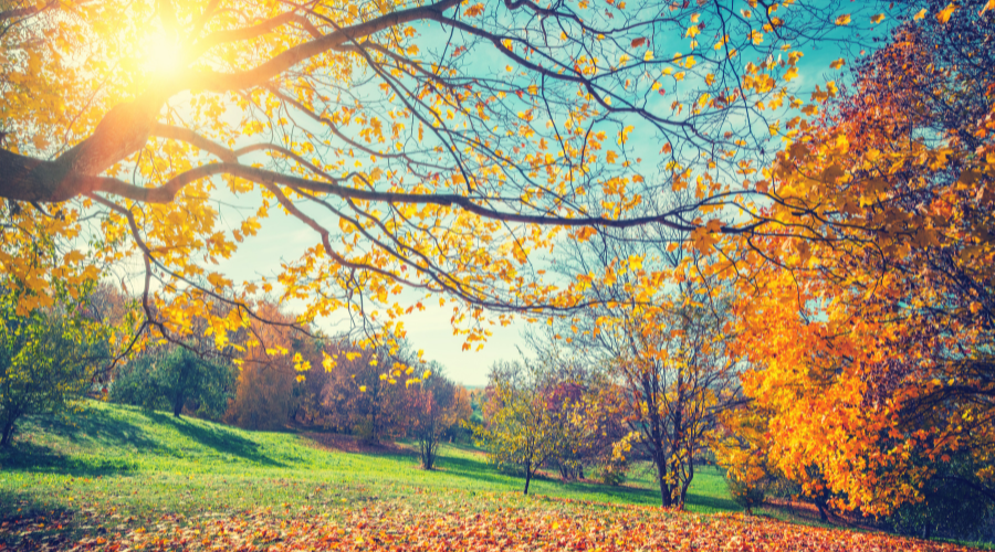 Autumn Fundraising Ideas