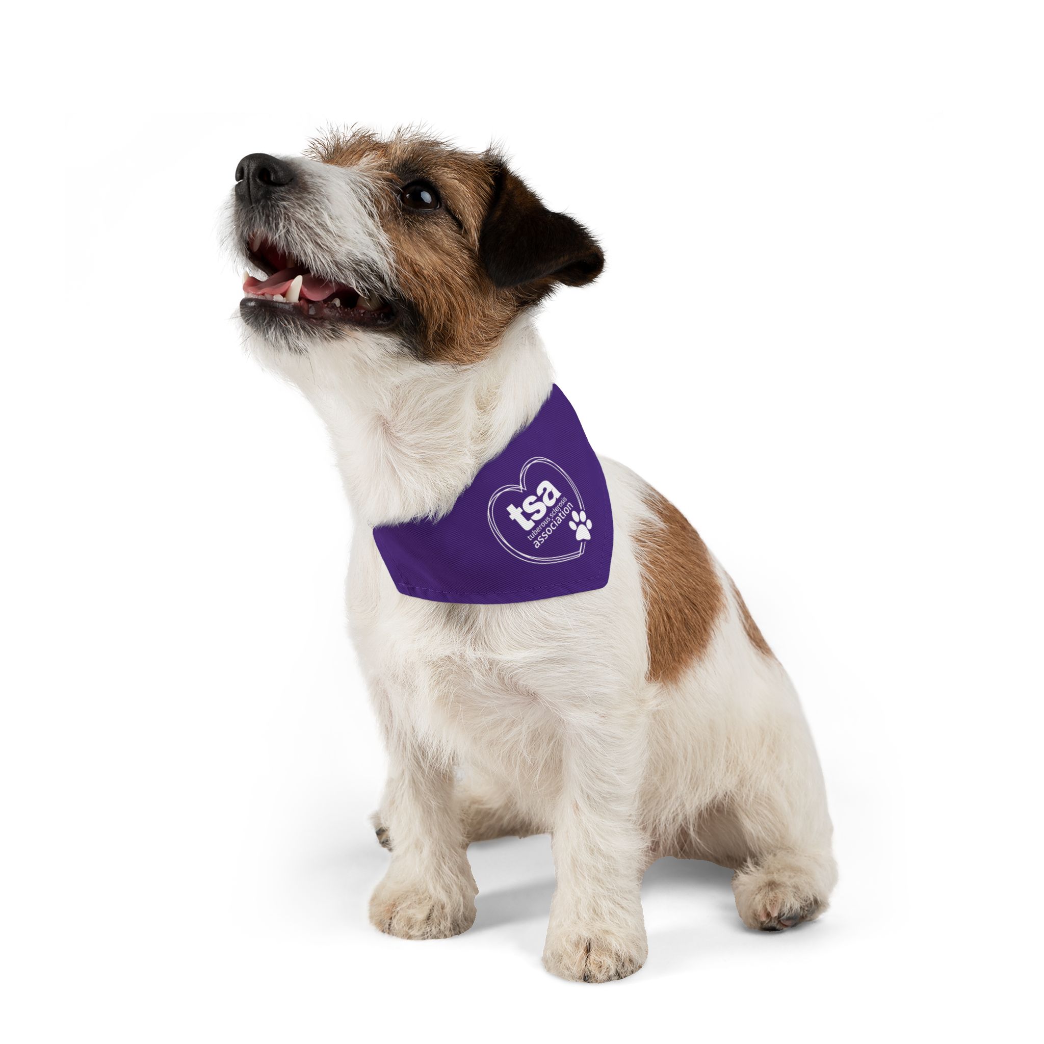 TSA Pet Bandana Collar Purple - Image 6