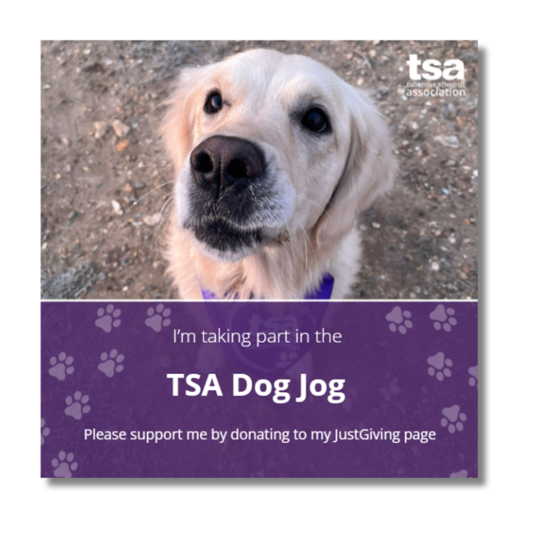 Dog Jog Social Media Post 1 Website Image 2026