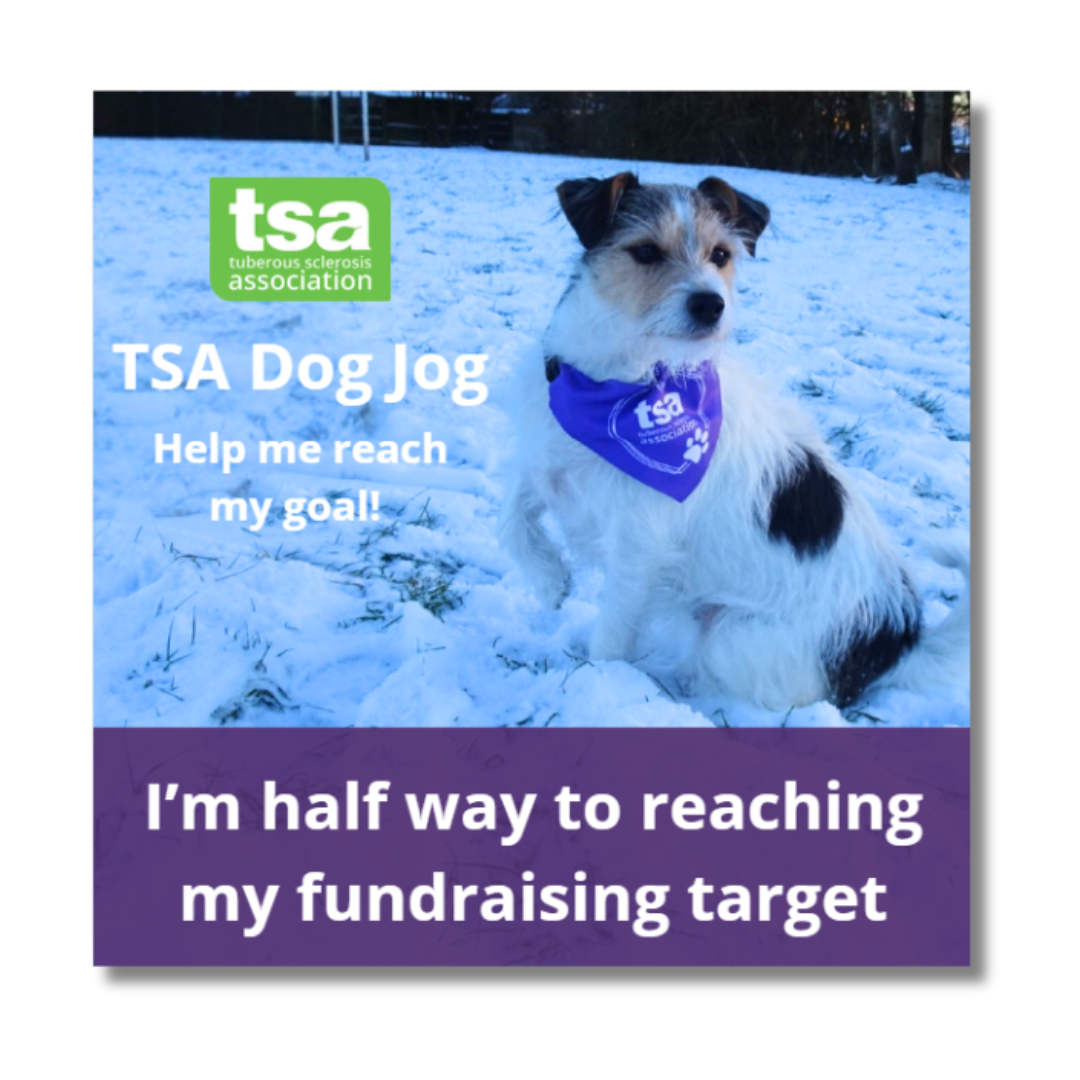 Dog Jog Social Media Post 2 Website Image 2026