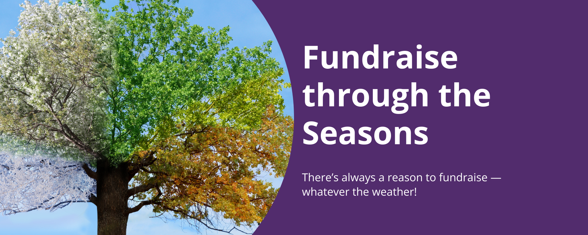 Seasonal Ideas Fundraising Banner